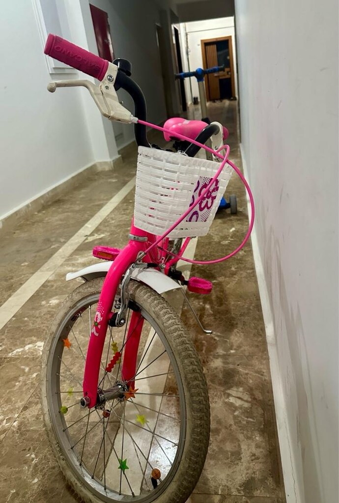 Salcano Chery 20 Jant Bisiklet - 4