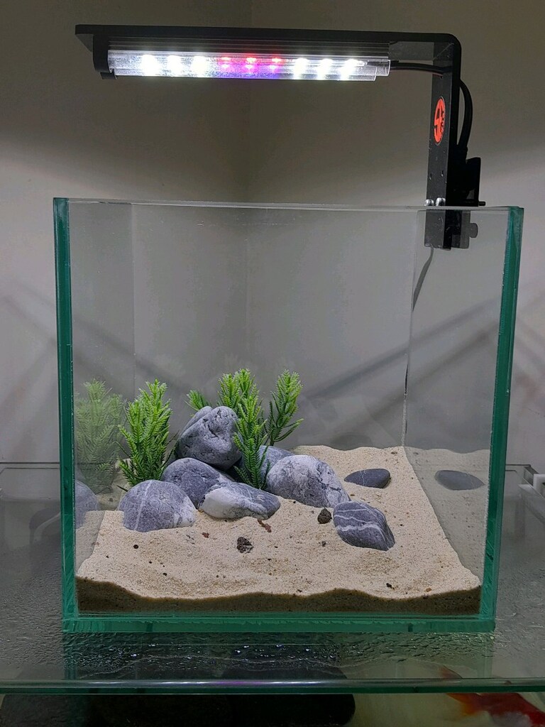 nano akvaryum mini 20x20x20 clear - 17