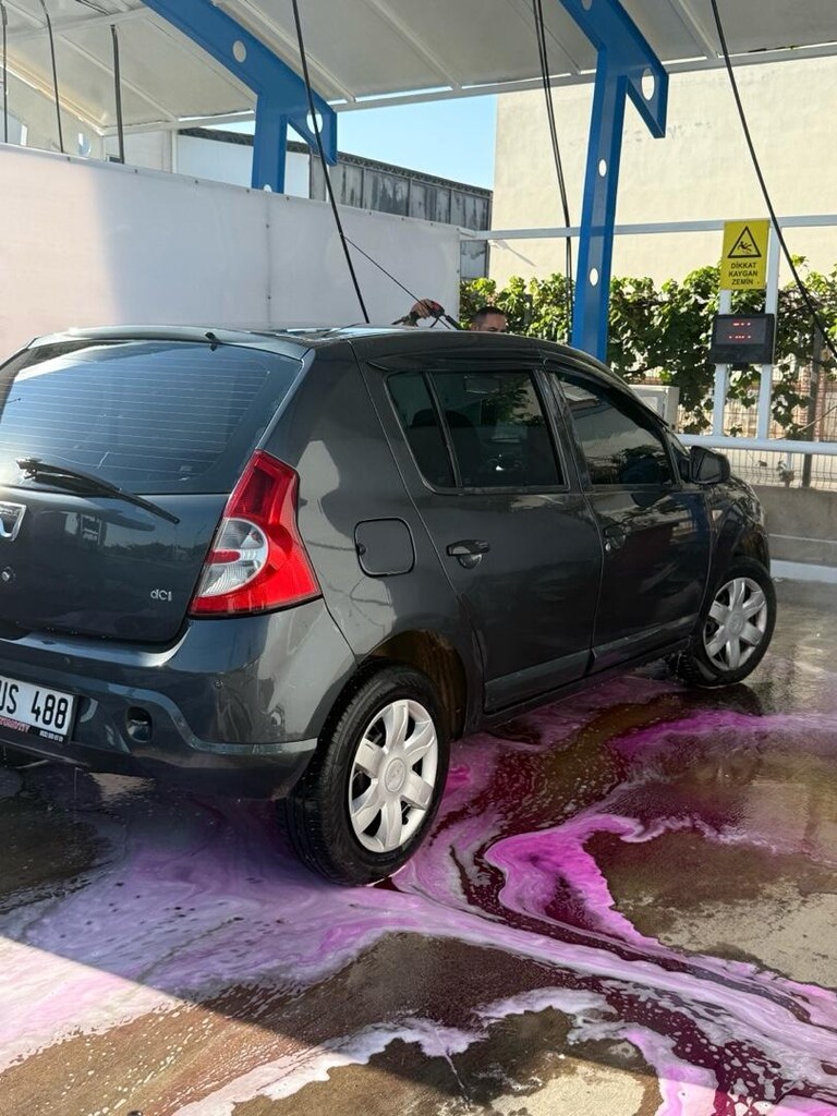 Bayandan Daica sandero - 6