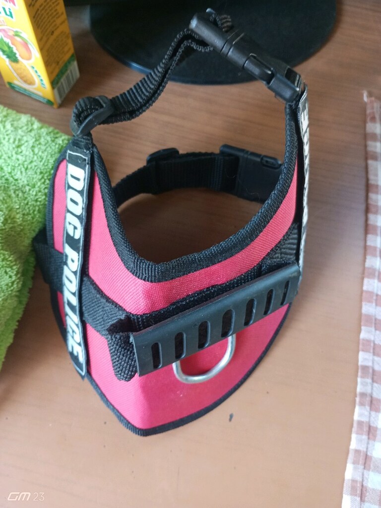 Yetişkin köpek Boyun Tasmasi - 2