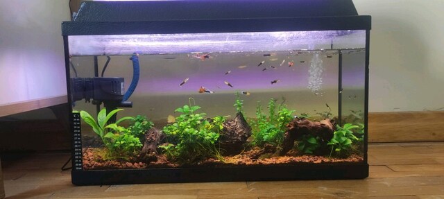 65x35x23 cm 52 Litre Akvaryum Tam Set