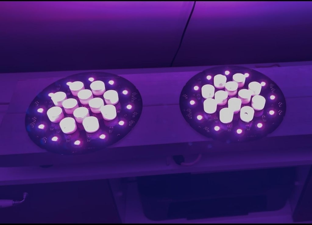 Full Spectrum RGBW Bitki Yetiştirme Lambası — 290W / 300W