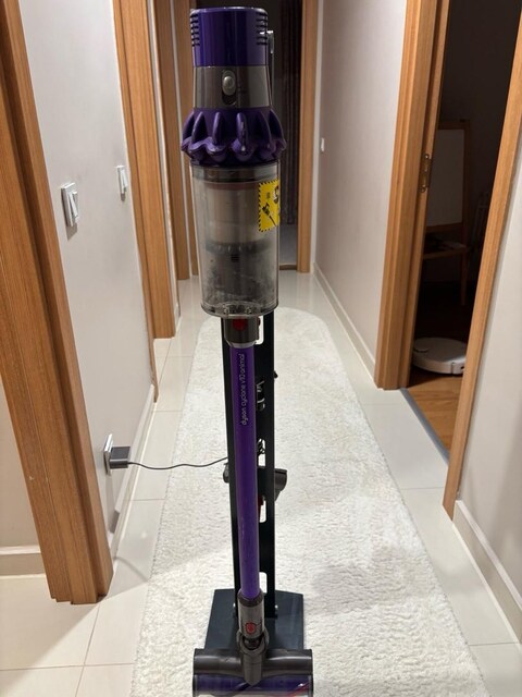 dyson v10 animal