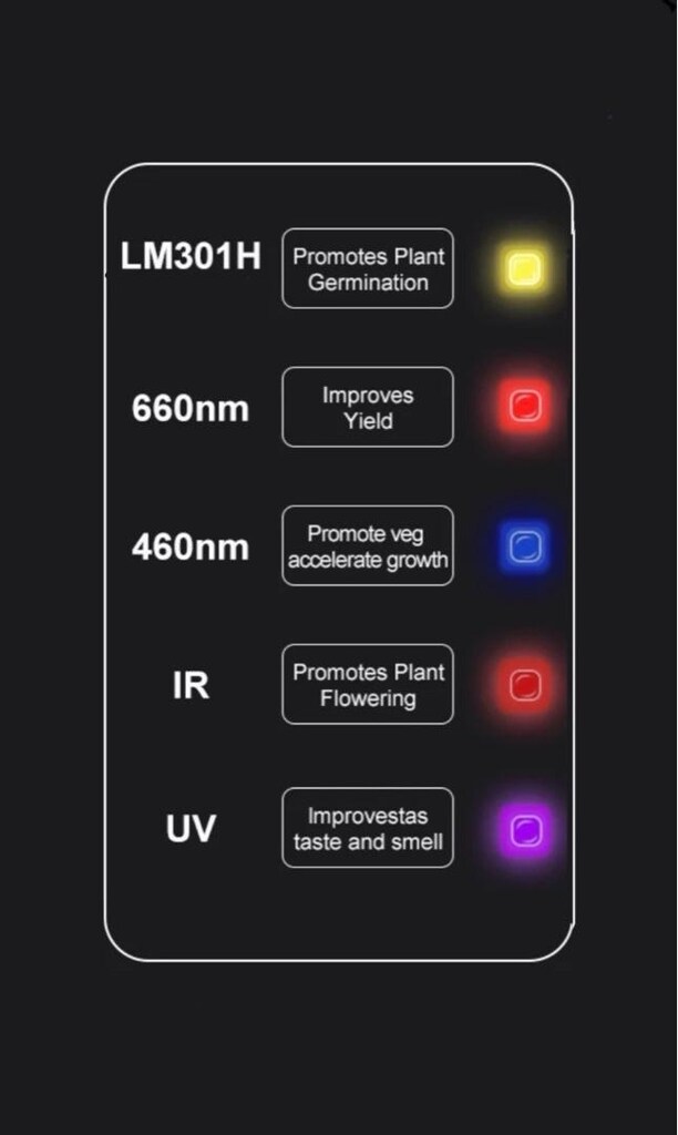240w Lm301h Quantum Board Bitki Yetiştirme Lambası - 8