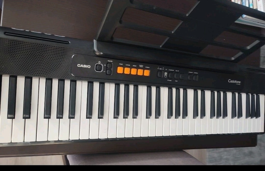 Casio CTS 100 Org - 5