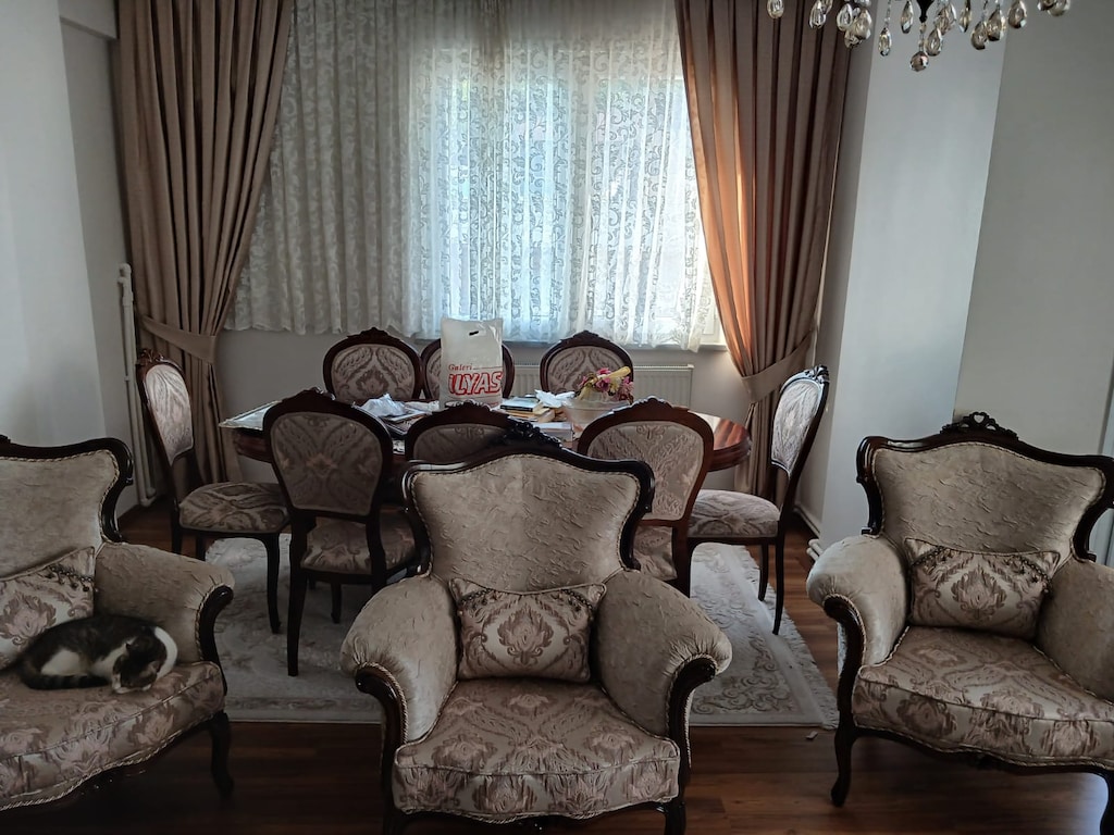 SALON KOLTUK VE VİTRİN TAKIMI