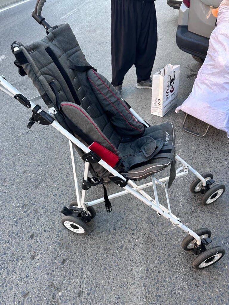 40 kg kadar taşır baston araba - 4