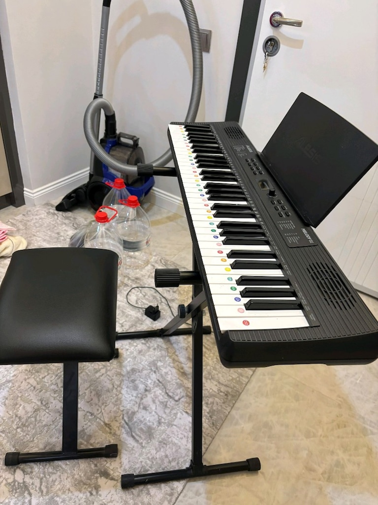 Alesis Melodi 61 org - 4