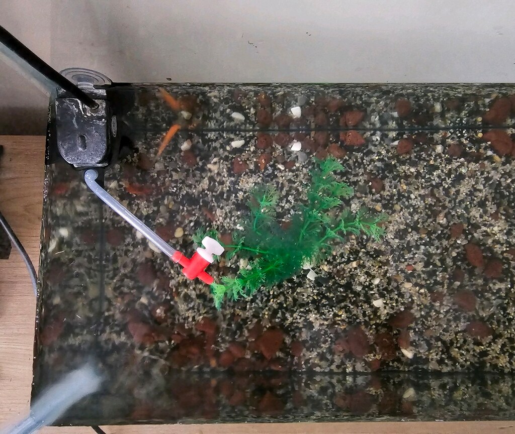 56×36×23 akvaryum - 2
