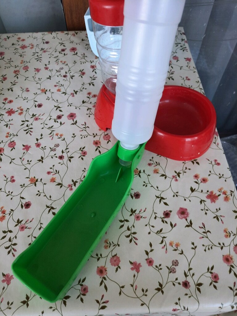 kedi soluğu - 6