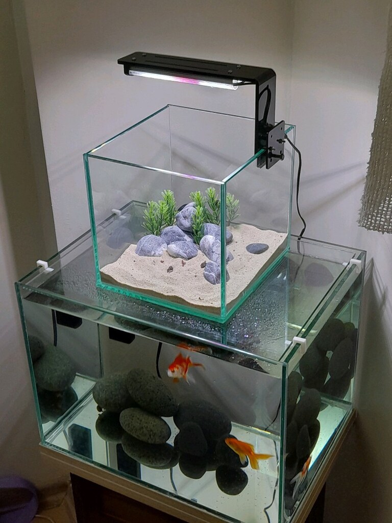 nano akvaryum mini 20x20x20 clear - 14