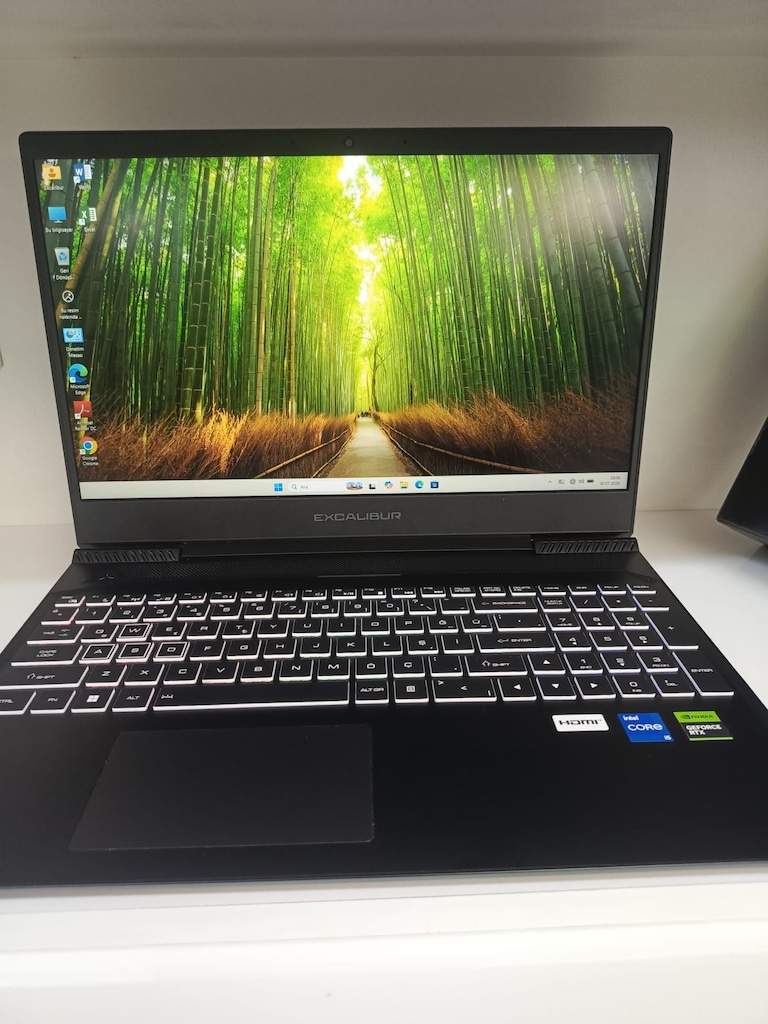 EXCALİBUR G770 GAMİNG İ5 12450H İŞLEMCİ + 3050 4GB EKRAN KARTI - 19