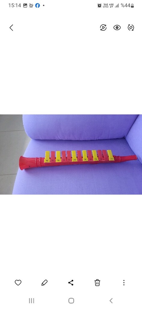 melodika - 5