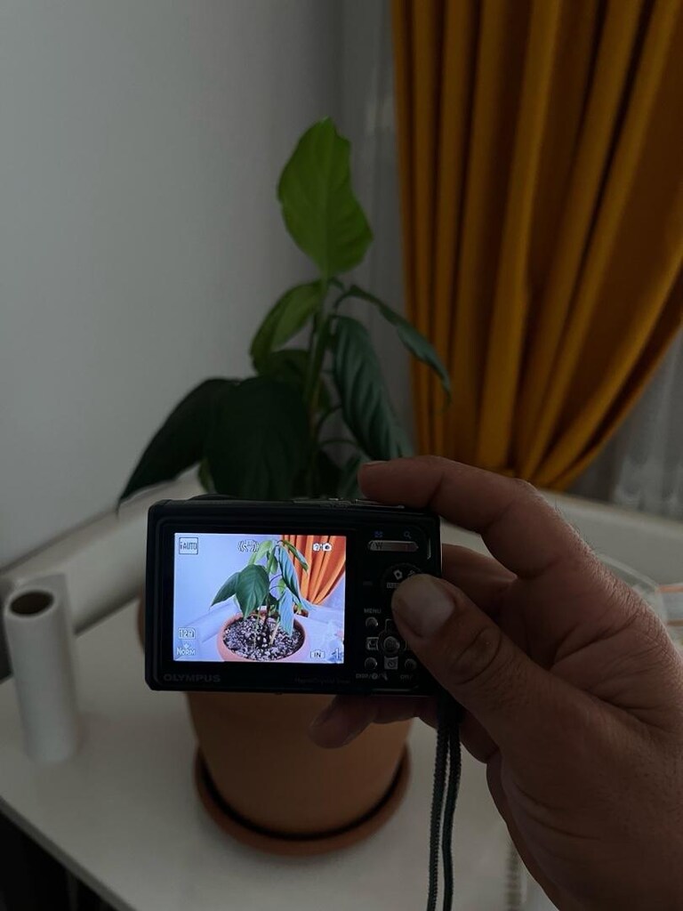 OLYMPUS MJU TOUCH 6610 DİJİTAL FOTOĞRAF MAKİNESİ - 9