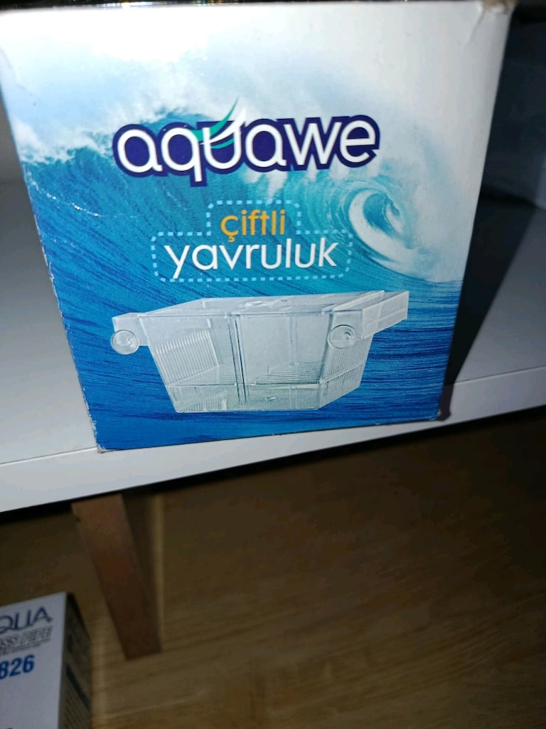 akvaryum - 3