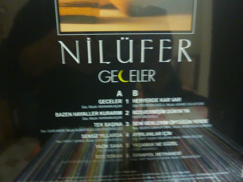 NİLÜFER GECELER ALBÜMÜ RENKLİ SIFIR 33 DEVİR PLAK LP YENİ - 2