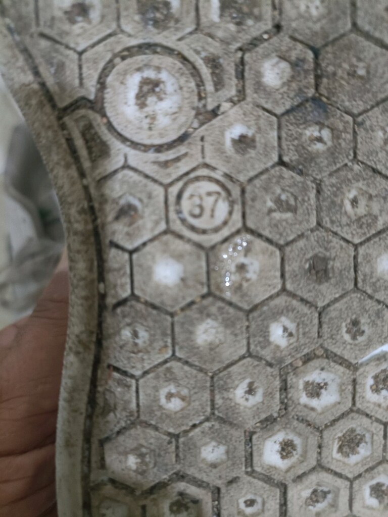 LACOSTE 37 No. Sorunsuz. - 6