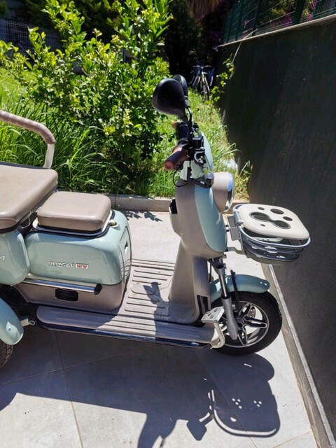 rüzgar New elektrik motor