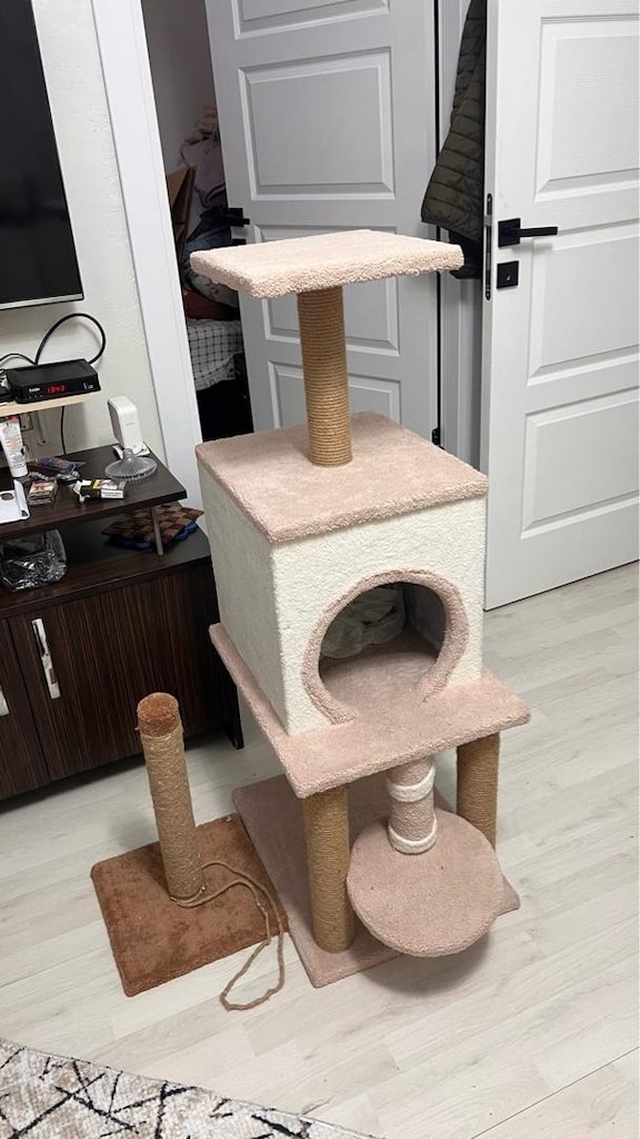 Kedi Evi - 2