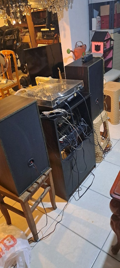 pıoneer plak çalar - 4