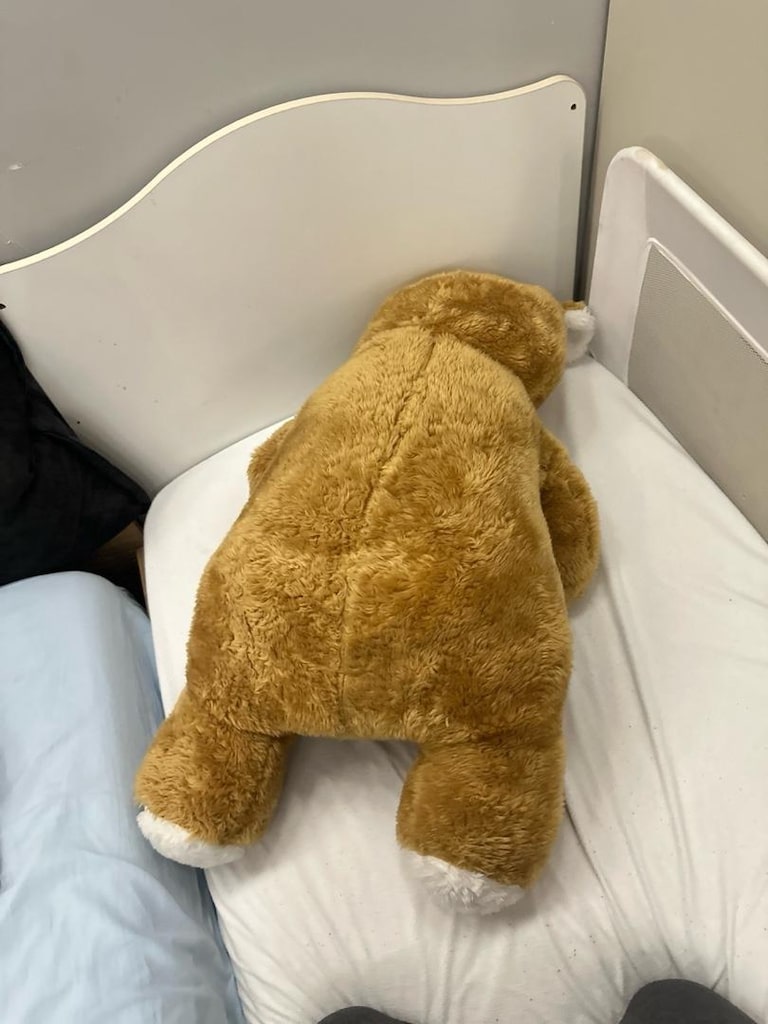 büyük peluş ayı - 3