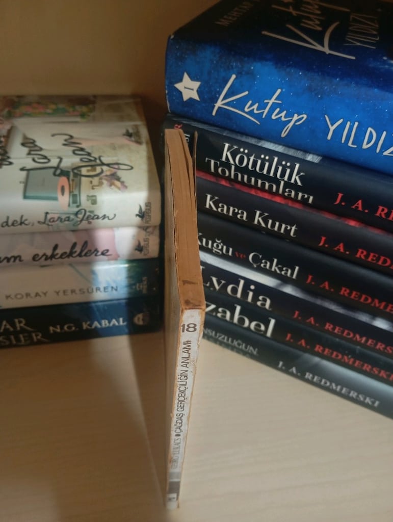 Çağdaş Gerçekçiliğin Anlamı Kitabı - 4