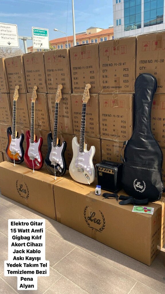 elektro gitar