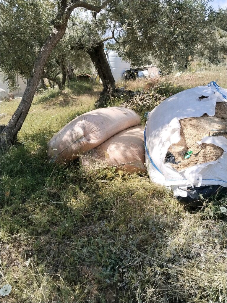 Çam ağacı talaşı, kedi evcil hayvan için - 2