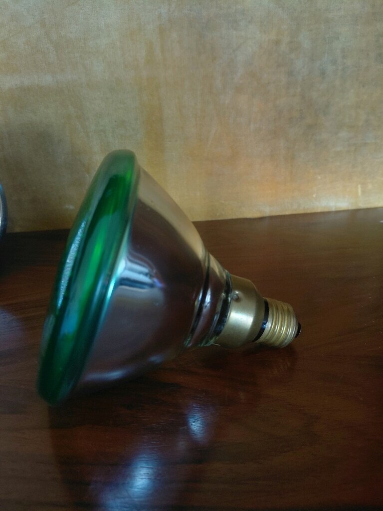 Osram Concentra Flood 100 Watt afX - 2