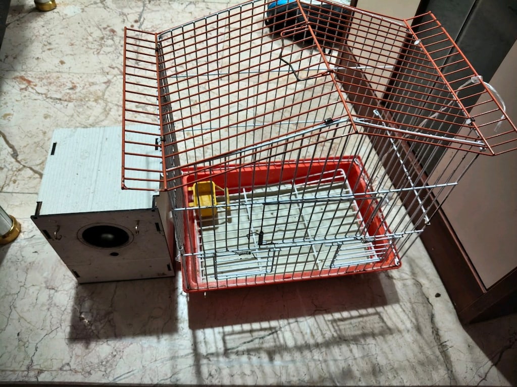 kuş kafes ve yuvalık kuşum öldü bunlars ihtiyacım kalmadı - 2