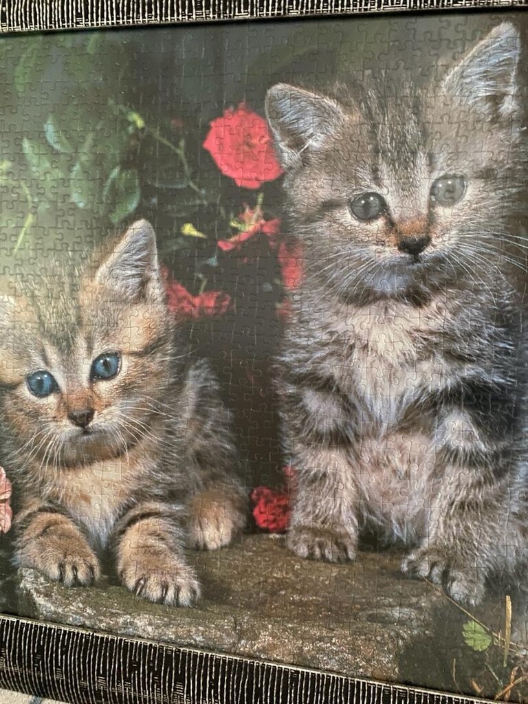 çerçeveli puzzle 61x83 - 2