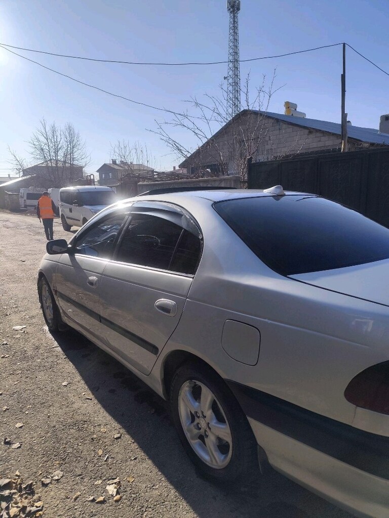 murat kaya - 3