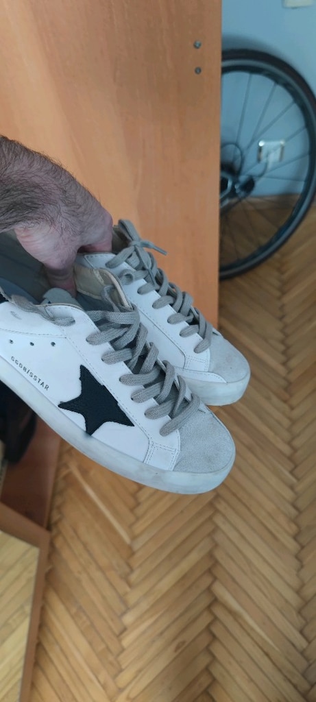golden goose - 4