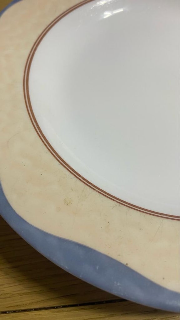 Orijinal Arcopal Fransa 6’lı Servis / İkram Tabağı Seti – Vintage & Re - 4