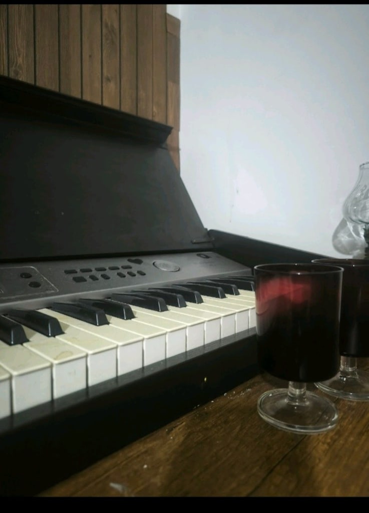 JWIN M-K944 61 TUŞLU DIGITAL PİYANO - 3