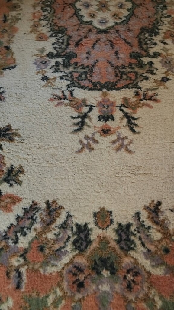 Klasik Temiz Halı - 3