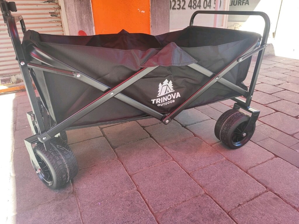 beach wagon - 2