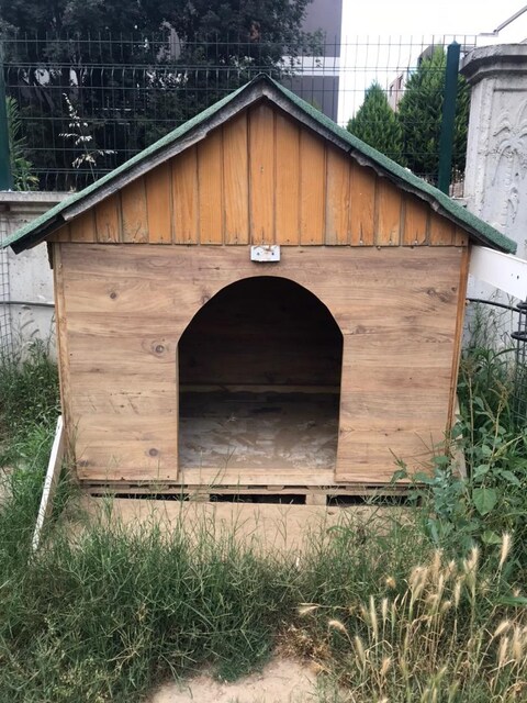Köpek kulübesi