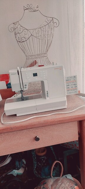 Pfaff passport 3.0 dikiş makinesi Brother overlok