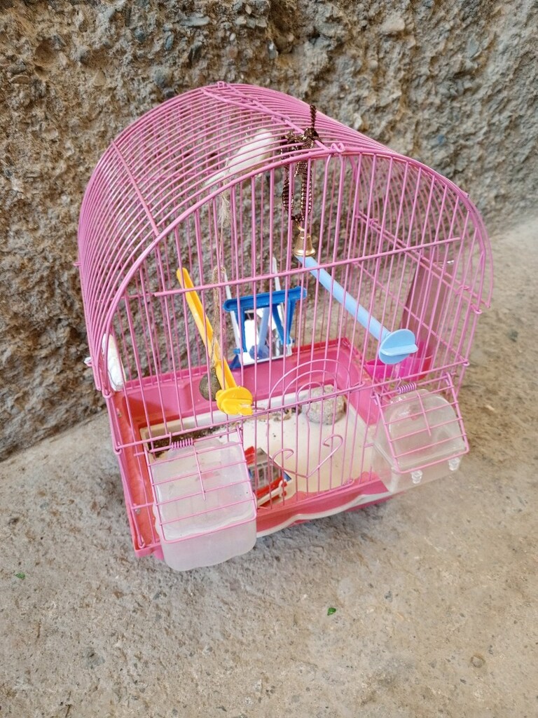 kuş kafesi sağlam herşeyi üzerinde tek fiyat - 2