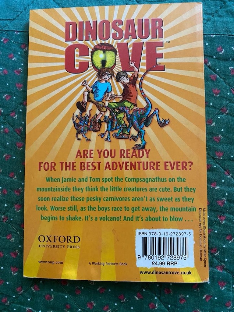 Dinosaur Cove / Rex Stone - 2