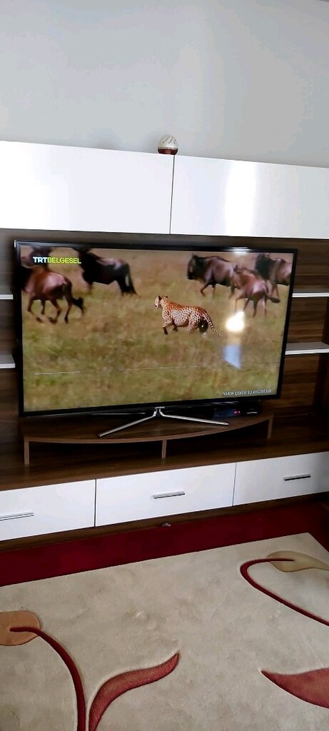 SAMSUNG 165 EKRAN 55 İNÇ+ünite - 9