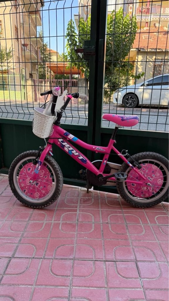 Ümit Alpina Kız Çocuk Bisikleti 16 Jant Pembe - 3
