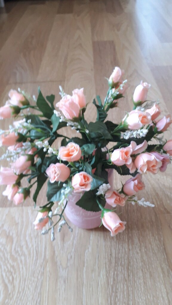 pembe masa cicegi - 6