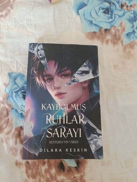 kaybolmuş ruhlar sarayı 1