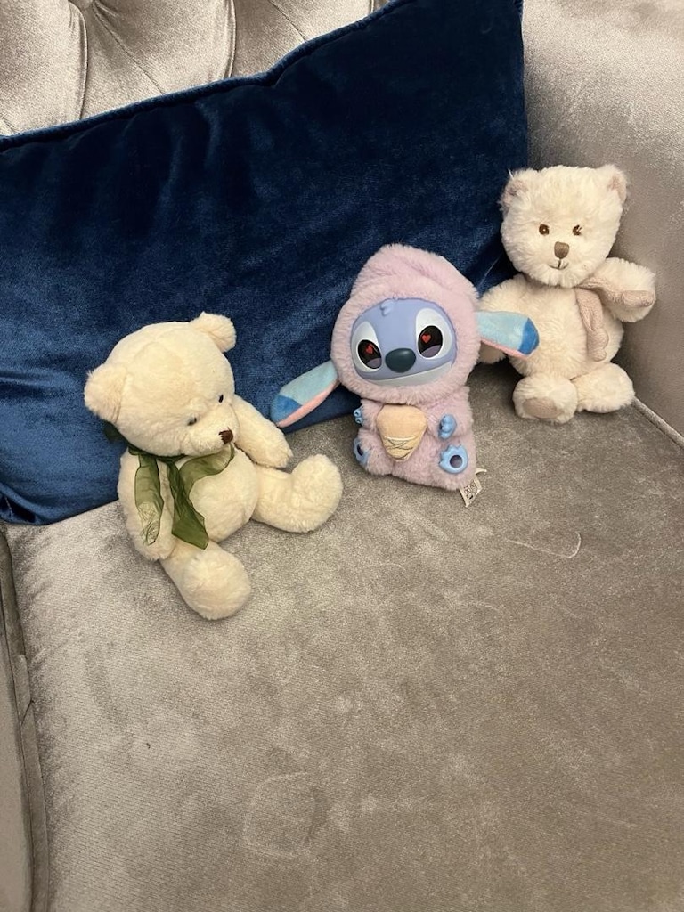 Fischer Price Eğitici köpekçik, Stitch, kedi, köpek,micky, maymun, ayı - 3