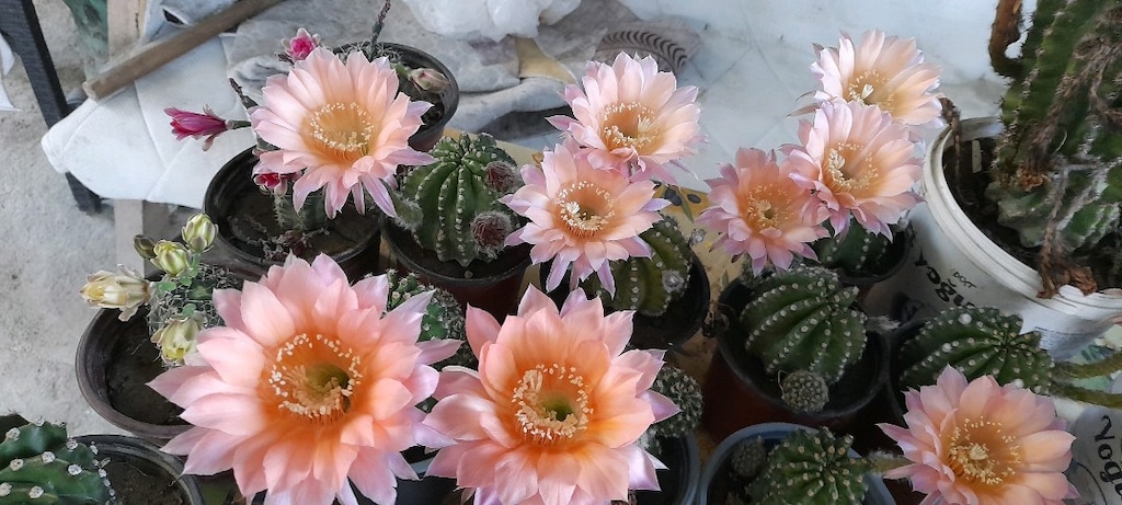 açıklamayı okuyun - 4