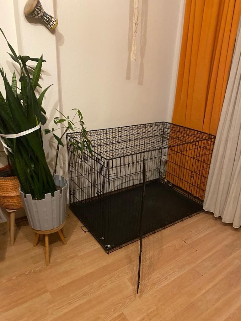 Büyük Irk Köpek Kafesi Ev İçi - 3