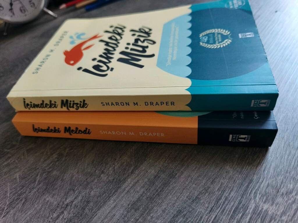 içimdeki müzik içimdeki melodi savaş atı hayal sözleşmesi martıya - 6