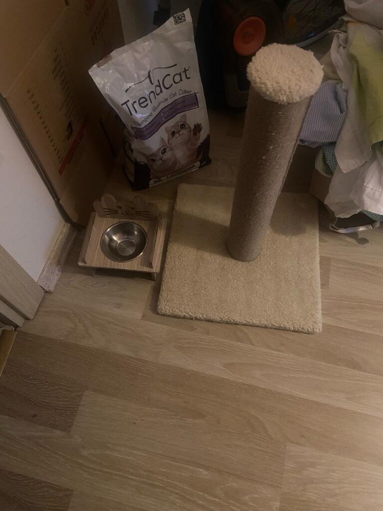 60 cm tırmalama tahtası mama kabı 5 kilo kum - 2